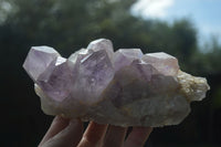 Natural Jacaranda Amethyst Clusters  x 3 From Mumbwa, Zambia - Toprock Gemstones and Minerals 