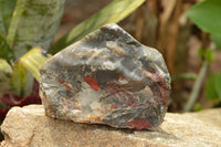 Natural Dragon Bloodstone Cobbed Specimens (Seftonite)  x 2 From Swaziland - TopRock