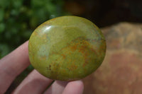 Polished Green Opal Palm Stones  x 12 From Antsirabe, Madagascar - Toprock Gemstones and Minerals 