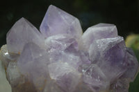 Natural Jacaranda Amethyst Clusters x 2 From Mumbwa, Zambia - TopRock