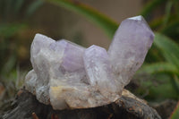 Natural Jacaranda Amethyst Crystal Clusters  x 4 From Zambia - TopRock