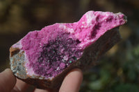 Natural Pink Salrose Cobaltion Dolomite Specimens x 6 From Kakanda, Congo