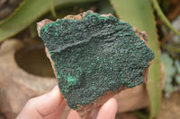 Natural Crystalline Botryoidal Malachite Specimens  x 3 From Congo - Toprock Gemstones and Minerals 