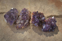 Natural Small Dark Amethyst Crystal Plates  x 70 From Mapatizya, Zambia - Toprock Gemstones and Minerals 