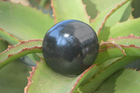 Polished Black Basalt Palm Stones x 12 From Madagascar