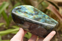 Polished Labradorite Standing Free Forms With Intense Blue & Gold Flash x 2 From Tulear, Madagascar - TopRock