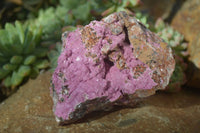 Natural Salrose Cobaltion Dolomite Specimens x 3 From Kakanda, Congo