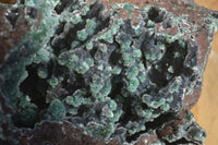 Natural Drusy Coated Malachite On Dolomite Specimen x 1 From Likasi, Congo - Toprock Gemstones and Minerals 