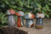 Polished Small Polychrome Jasper Mushrooms  x 37 From Madagascar