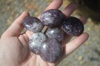 Polished Mini Purple Lepidolite Palm Stones  x 24 From Ambatondrazaka, Madagascar - Toprock Gemstones and Minerals 