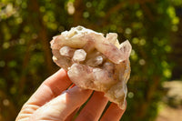 Natural Red Hematoid Phantom Quartz Specimens  x 6 From Karoi, Zimbabwe - TopRock