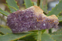 Natural Dark "Amethystos" Amethyst Clusters  x 18 From Kwaggafontein, South Africa - TopRock