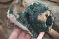 Natural Rare Ball Malachite On Drusy Limonite Quartz & Dolomite Matrix Specimens  x 2 From Kambove, Congo