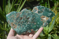 Polished Green Mtorolite / Chrome Chrysoprase Plates  x 2 From Zimbabwe - Toprock Gemstones and Minerals 