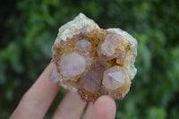 Natural Spirit Amethyst Quartz Clusters  x 6 From Boekenhouthoek, South Africa - Toprock Gemstones and Minerals 