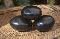 Polished Black Basalt Palm Stones x 12 From Madagascar