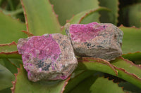 Natural Salrose Cobaltion Dolomite Specimens x 12 From Kakanda, Congo