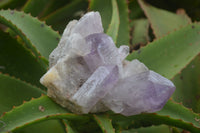 Natural Jacaranda Amethyst Crystal Clusters  x 4 From Zambia - TopRock