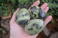 Polished Spotted Leopard Stone Gallets  x 12 From Nyanga & Shamva, Zimbabwe - Toprock Gemstones and Minerals 