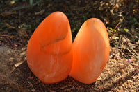 Polished Vibrant Bright Orange Twist Calcite Standing Free Forms  x 2 From Maevantanana, Madagascar - TopRock