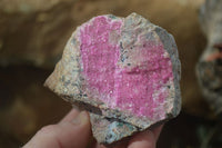 Natural Pink Salrose Cobaltion Dolomite Specimens x 6 From Kakanda, Congo