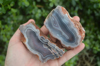 Polished Banded River Agate Nodules  x 6 From Zimbabwe - Toprock Gemstones and Minerals 