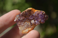 Natural Small Dark Amethyst Crystal Plates  x 70 From Mapatizya, Zambia - Toprock Gemstones and Minerals 