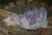 Natural Jacaranda Amethyst Clusters  x 3 From Mumbwa, Zambia - Toprock Gemstones and Minerals 