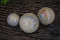 Polished Polychrome / Picasso Jasper Spheres  x 3 From Madagascar - Toprock Gemstones and Minerals 