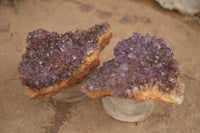 Natural Dark "Amethystos" Amethyst Clusters  x 18 From Kwaggafontein, South Africa - TopRock