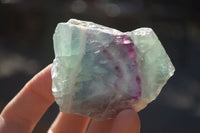 Polished  One Side Polished Watermelon Fluorite Pieces  x 12 From Uis, Namibia