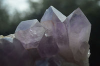 Natural Jacaranda Amethyst Clusters  x 3 From Mumbwa, Zambia - Toprock Gemstones and Minerals 