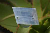 Natural New Sky Blue Calcite With Hematite Specimens  x 35 From Spitzkoppe, Namibia - Toprock Gemstones and Minerals 