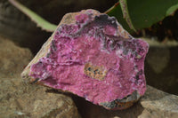 Natural Pink Salrose Cobaltion Dolomite Specimens x 6 From Kakanda, Congo