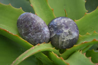 Polished Mini Purple Lepidolite Palm Stones  x 24 From Ambatondrazaka, Madagascar - Toprock Gemstones and Minerals 