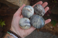 Polished Large Dendritic Opal Palm Stones  x 12 From Madagascar - Toprock Gemstones and Minerals 