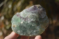 Natural Rough Watermelon Fluorite Cobbed Specimens x 12 From Uis, Namibia