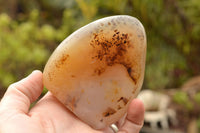 Polished Dendritic Agate Standing Free Forms  x 5 From Moralambo, Madagascar - TopRock