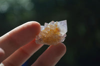 Natural Small Mixed Spirit Quartz Crystals  x 70 From Boekenhouthoek, South Africa - Toprock Gemstones and Minerals 