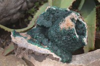 Natural Rare Ball Malachite On Drusy Limonite Quartz & Dolomite Matrix Specimens  x 2 From Kambove, Congo