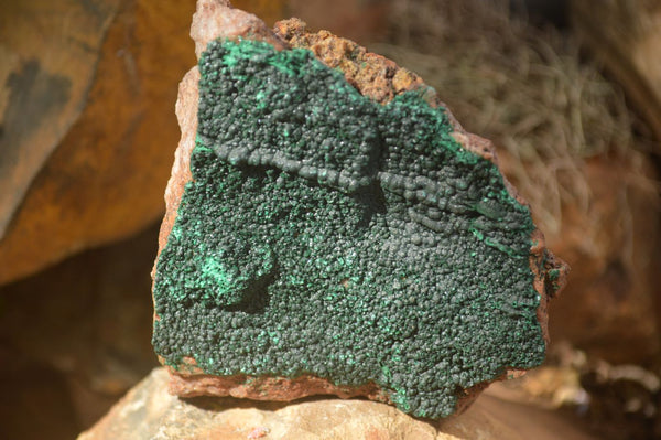 Natural Crystalline Botryoidal Malachite Specimens  x 3 From Congo - Toprock Gemstones and Minerals 