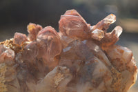 Natural Red Hematoid Phantom Quartz Specimens x 2 From Karoi, Zimbabwe