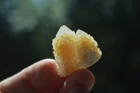 Natural Small Mixed Spirit Quartz Crystals  x 70 From Boekenhouthoek, South Africa - Toprock Gemstones and Minerals 