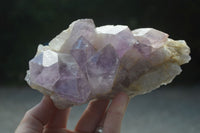 Natural Jacaranda Amethyst Clusters  x 3 From Mumbwa, Zambia - Toprock Gemstones and Minerals 