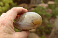 Polished Dendritic Agate Standing Free Forms  x 5 From Moralambo, Madagascar - TopRock