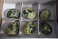 Polished Spotted Leopard Stone Gallets  x 6 From Zimbabwe