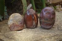 Polished Red Podocarpus Petrified Wood Standing Free Forms x 3 From Mahajanga, Madagascar