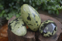 Polished Spotted Leopard Stone Gallets  x 12 From Nyanga & Shamva, Zimbabwe - Toprock Gemstones and Minerals 