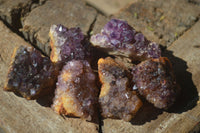 Natural Small Dark Amethyst Crystal Plates  x 70 From Mapatizya, Zambia - Toprock Gemstones and Minerals 