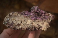 Natural Pink Salrose Cobaltion Dolomite Specimens x 6 From Kakanda, Congo